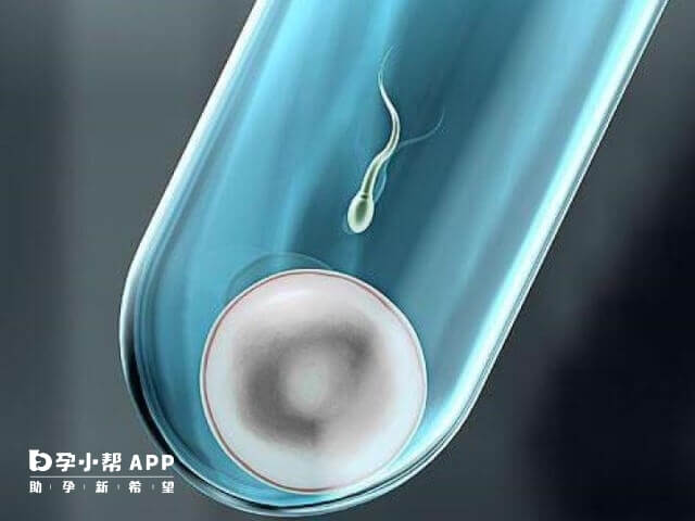大卫早早孕试纸