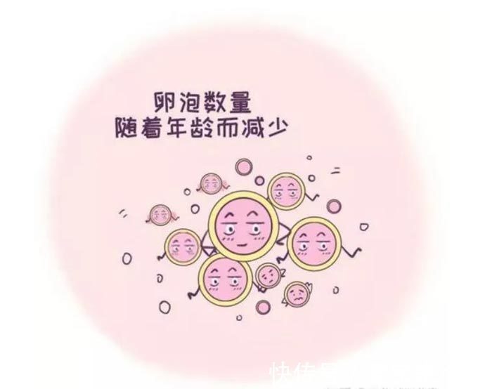 大卫早早孕试纸