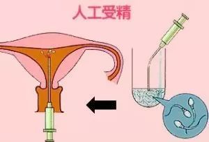 大卫验孕试纸