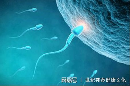 大卫早早孕试纸