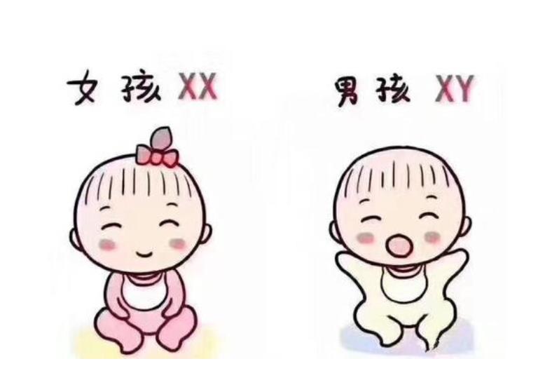 大卫验孕试纸