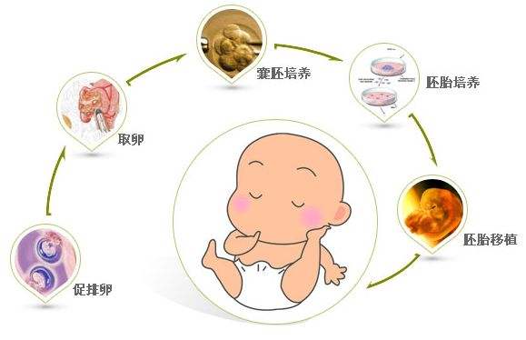 大卫早早孕试纸