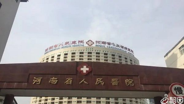 大卫验孕纸