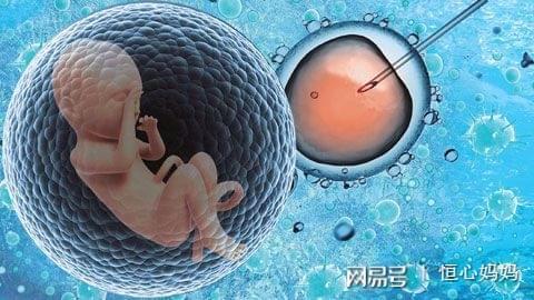 大卫早早孕试纸