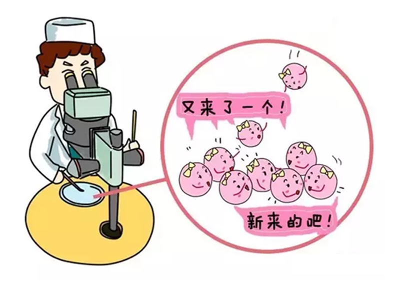 大卫验孕试纸